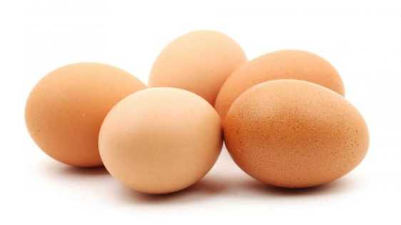 eggs